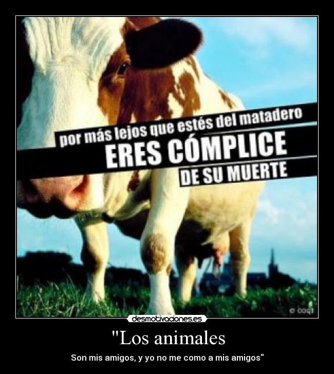 carteles animales frases desmotivaciones