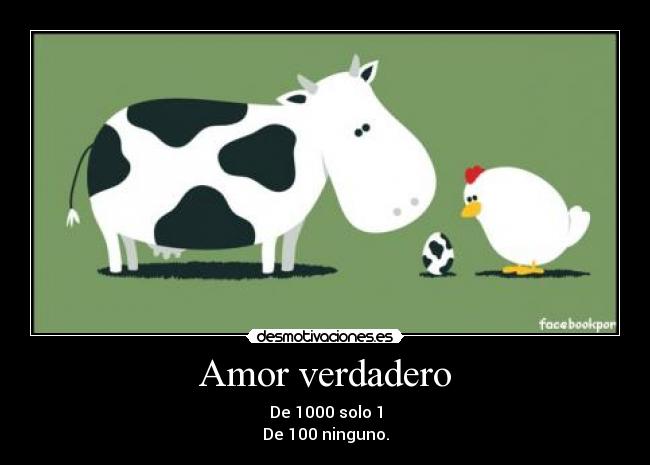 carteles amor ostias ostias desmotivaciones