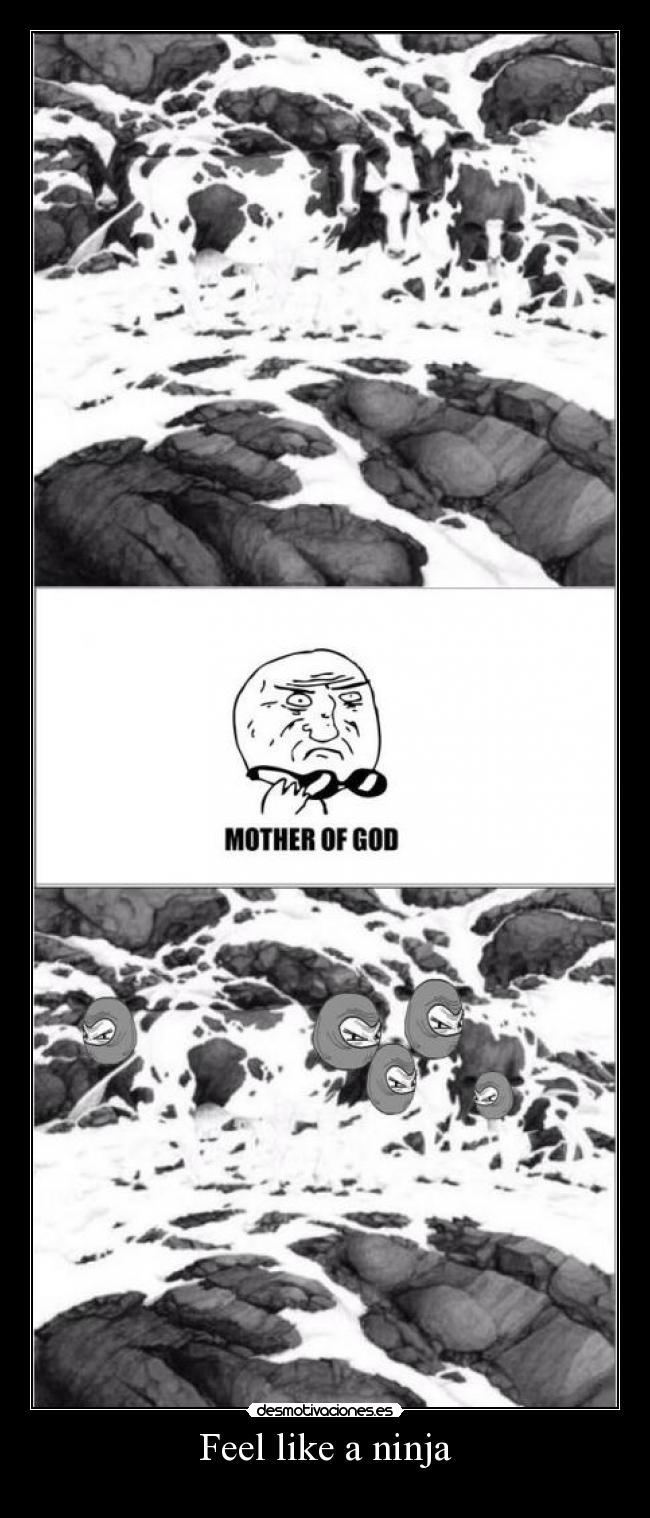 carteles feel like ninja desmotivaciones