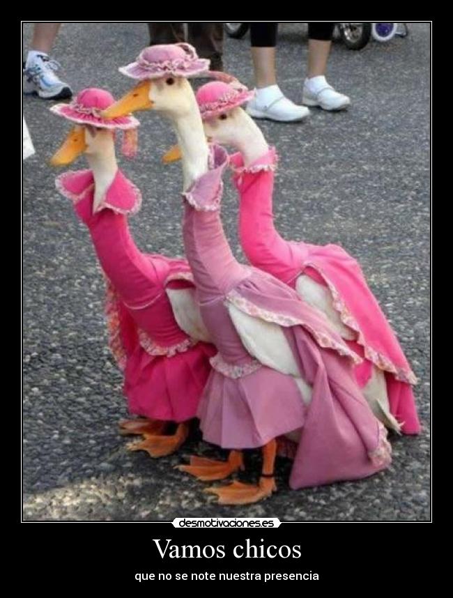 Vamos chicos - que no se note nuestra presencia