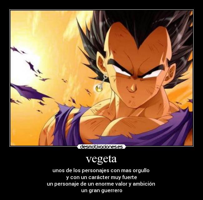 vegeta - unos de los personajes con mas orgullo 
y con un carácter muy fuerte
un personaje de un enorme valor y ambición 
un gran guerrero