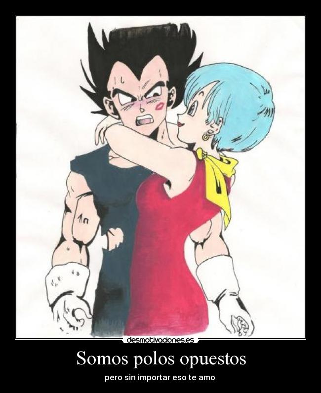 carteles polos opuestos desmotivaciones