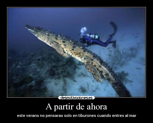 carteles cocodrilo mar clanhorde desmotivaciones