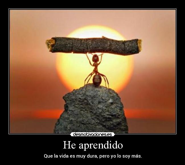 He aprendido - Que la vida es muy dura, pero yo lo soy más.