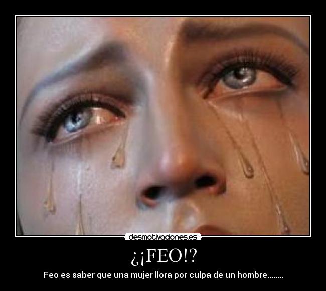 ¿¡FEO!? -