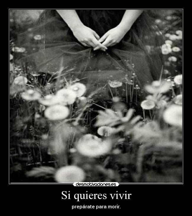 Si quieres vivir - 