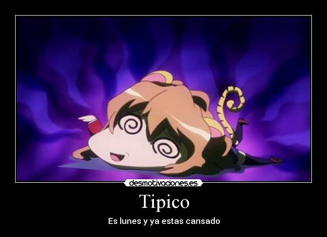 Tipico - 