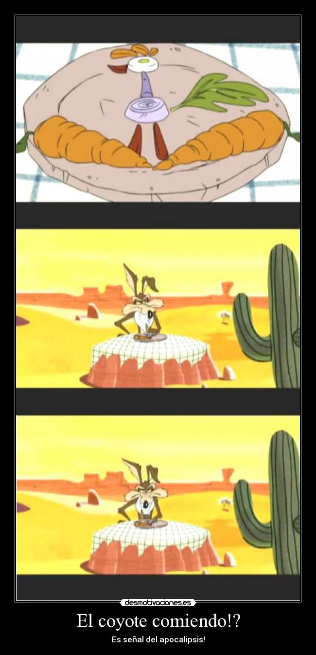 carteles coyote desmotivaciones