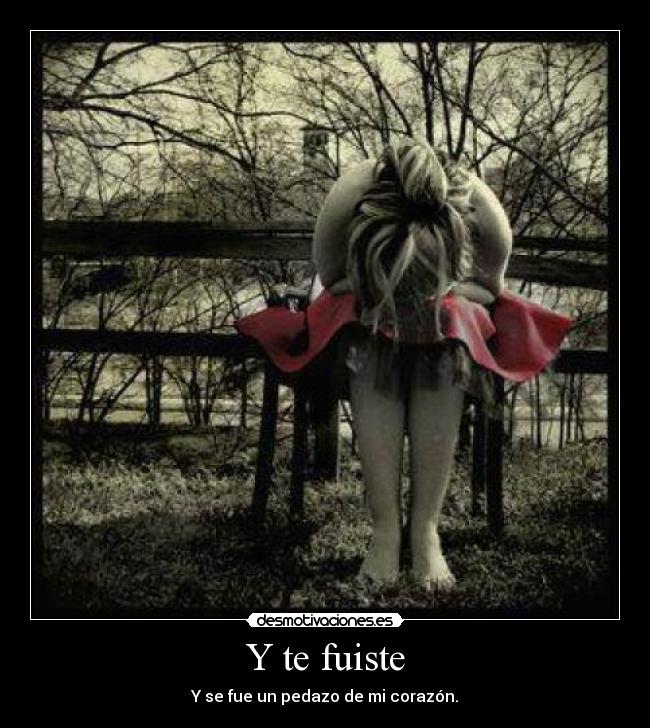 Y te fuiste -