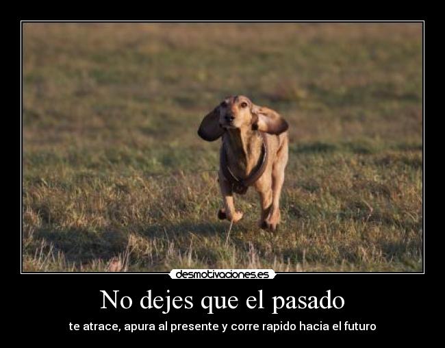 No dejes que el pasado -