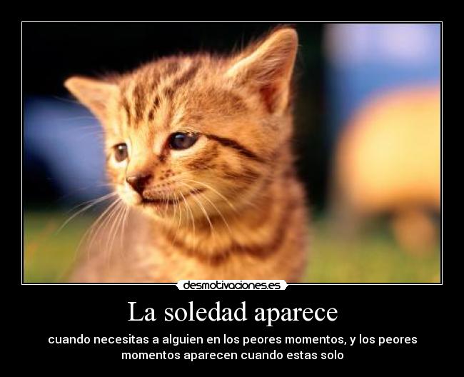 La soledad aparece - 