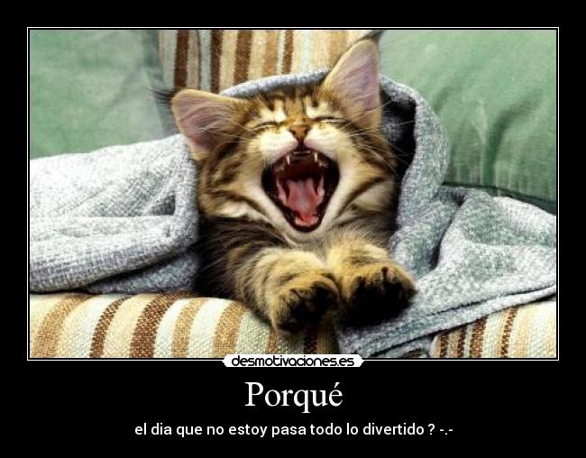 Porqué - el dia que no estoy pasa todo lo divertido ? -.-