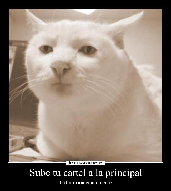 Sube tu cartel a la principal -
