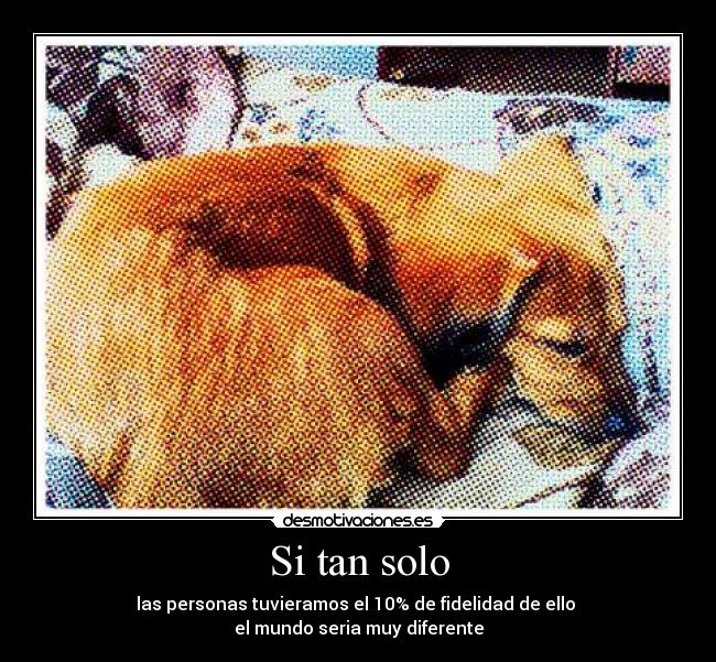 Si tan solo - las personas tuvieramos el 10% de fidelidad de ello
el mundo seria muy diferente