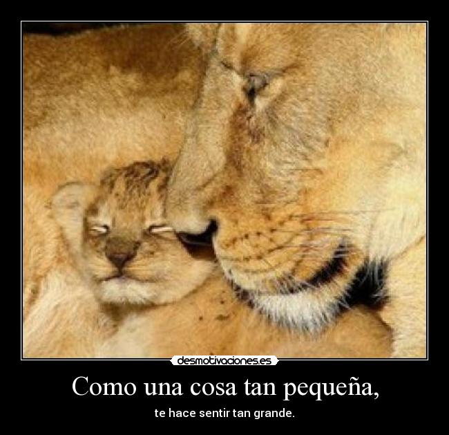 Como una cosa tan pequeña, -