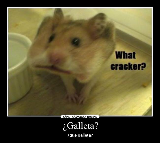 ¿Galleta? -