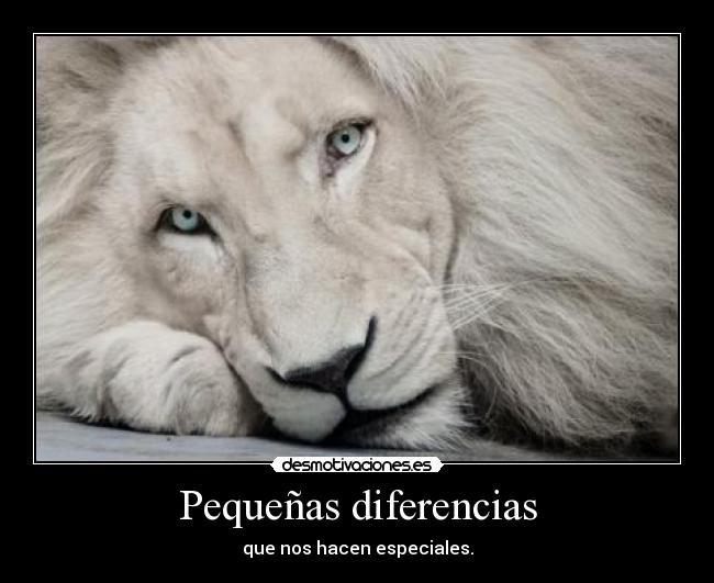 Pequeñas diferencias - que nos hacen especiales.