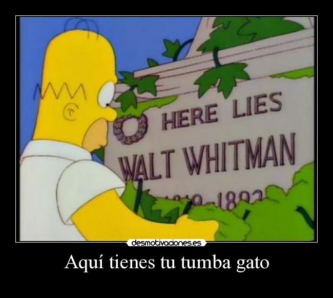 carteles asasdasdasadadchadadsasdasdas rapid clanhoygan clancii desmotivaciones