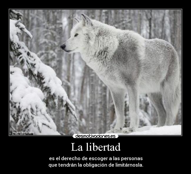 La libertad - es el derecho de escoger a las personas
que tendrán la obligación de limitárnosla.