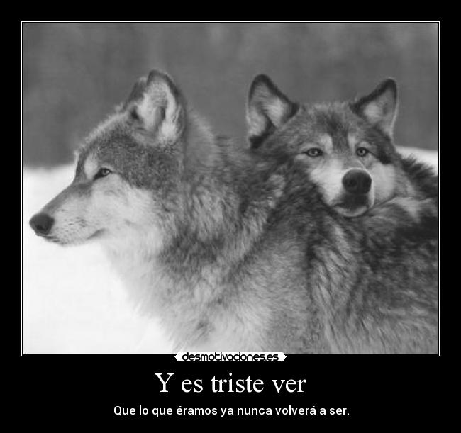 carteles enamoradiza crazyclub blablabla absurrdismoabstracto dreadk dreadja baaah extrano desmotivaciones