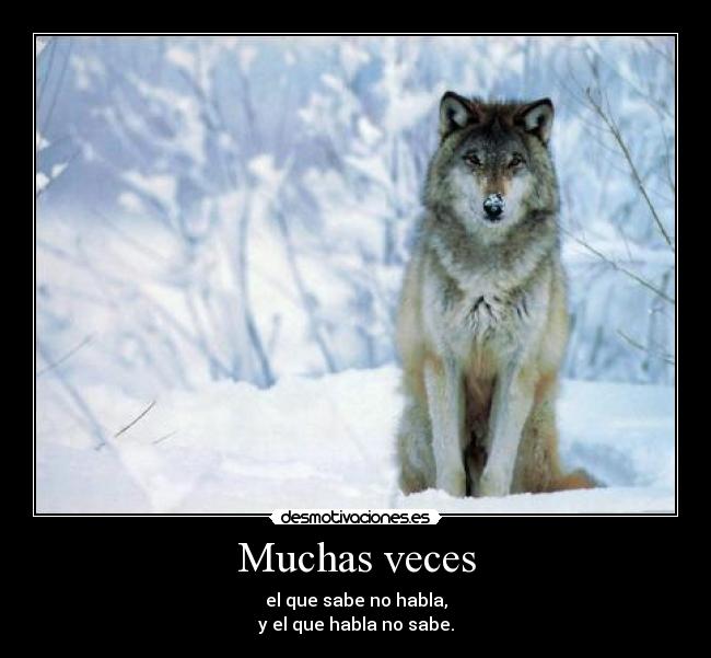 Muchas veces - el que sabe no habla,
y el que habla no sabe.