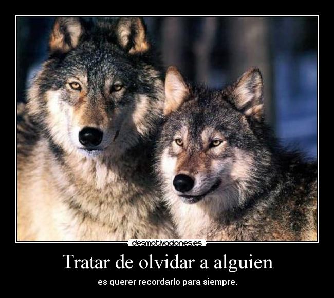 Tratar de olvidar a alguien -