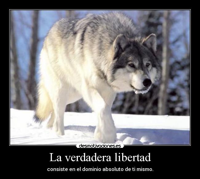La verdadera libertad - 