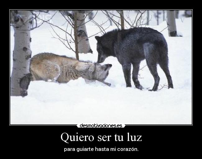 Quiero ser tu luz - 