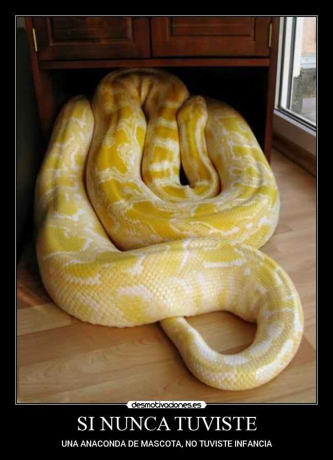 carteles 1234 desmotivaciones