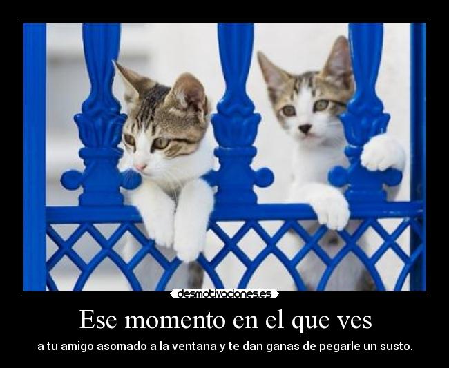 Ese momento en el que ves -