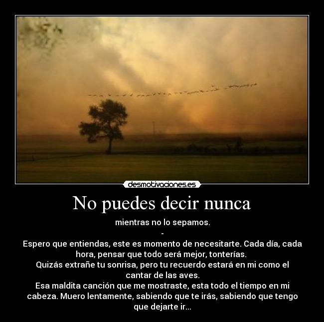 No puedes decir nunca - mientras no lo sepamos.
-
Espero que entiendas, este es momento de necesitarte. Cada día, cada
hora, pensar que todo será mejor, tonterías.
Quizás extrañe tu sonrisa, pero tu recuerdo estará en mi como el
cantar de las aves.
Esa maldita canción que me mostraste, esta todo el tiempo en mi
cabeza. Muero lentamente, sabiendo que te irás, sabiendo que tengo
que dejarte ir...
