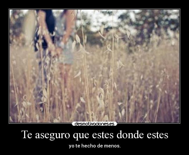 Te aseguro que estes donde estes - yo te hecho de menos.
