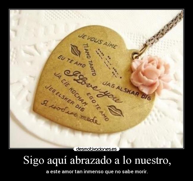 carteles miau desmotivaciones