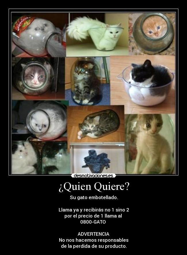 ¿Quien Quiere? - Su gato embotellado.
Llama ya y recibirás no 1 sino 2
por el precio de 1 llama al
0800-GATO
ADVERTENCIA
No nos hacemos responsables
de la perdida de su producto.