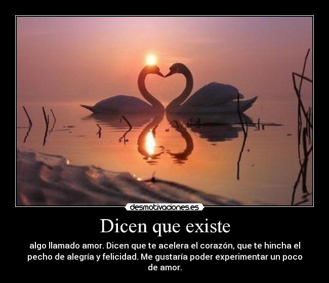 Dicen que existe -