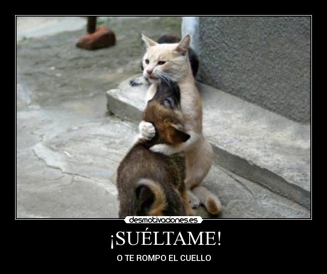 ¡SUÉLTAME! -