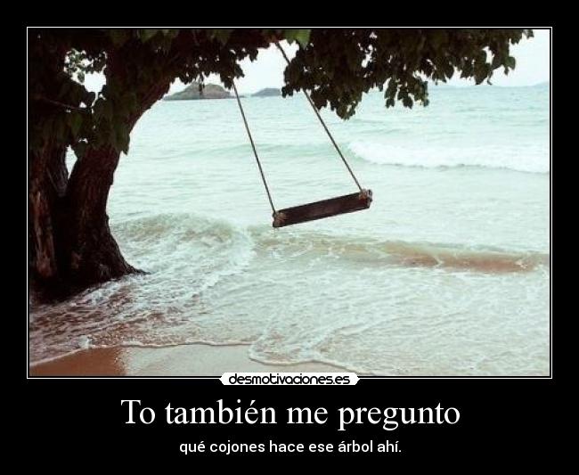 To también me pregunto - qué cojones hace ese árbol ahí.