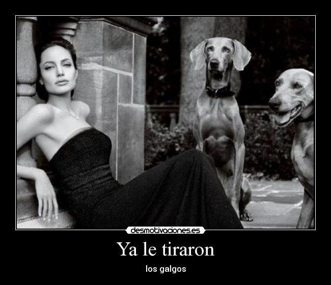 carteles  desmotivaciones