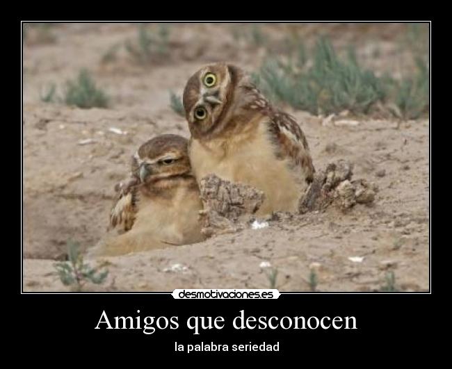 Amigos que desconocen - 