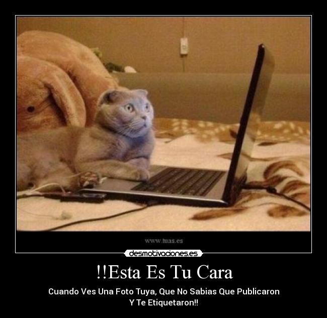 carteles principal desmotivaciones