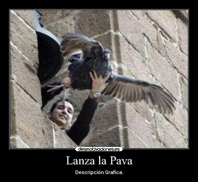 Lanza la Pava - Descripción Grafica.
