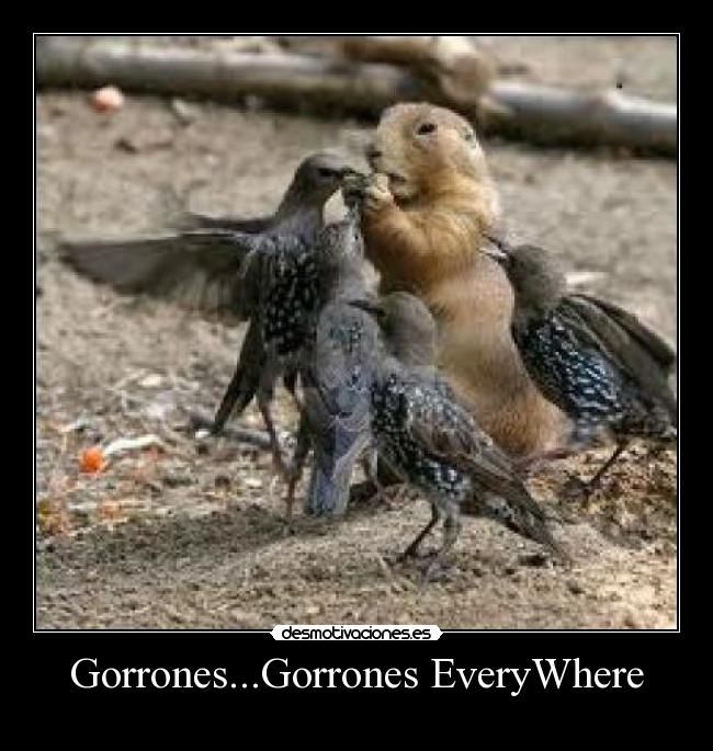 carteles amigos desmotivaciones