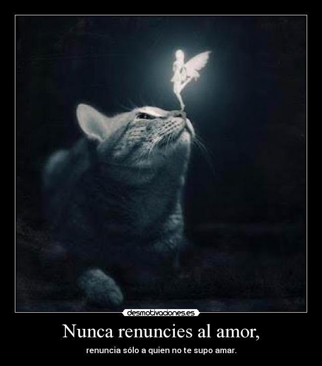 Nunca renuncies al amor, - renuncia sólo a quien no te supo amar.