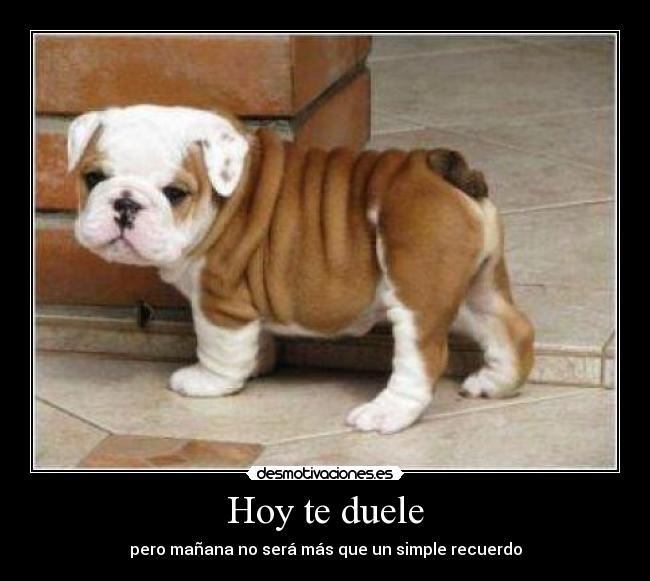 Hoy te duele - pero mañana no será más que un simple recuerdo