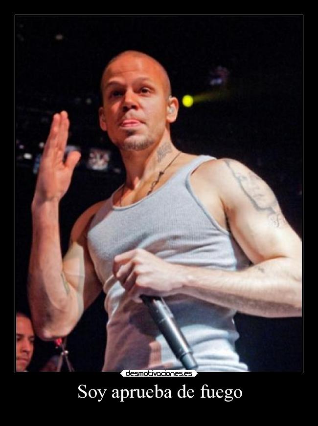 Soy aprueba de fuego -