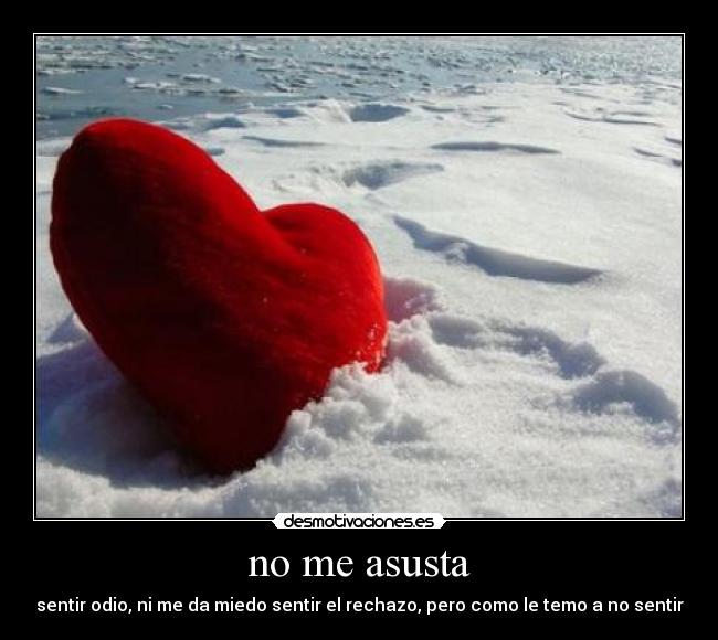 no me asusta - sentir odio, ni me da miedo sentir el rechazo, pero como le temo a no sentir