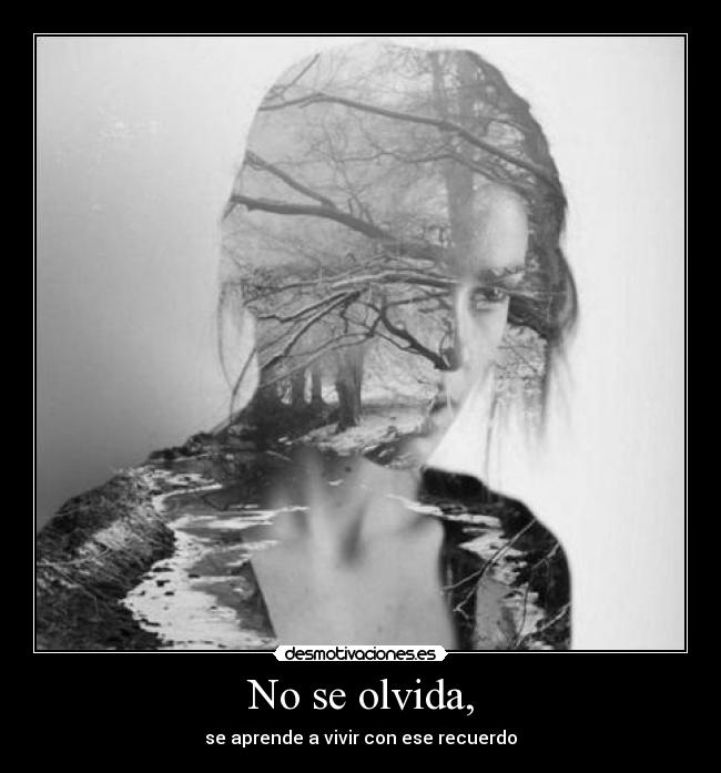 No se olvida, - 
