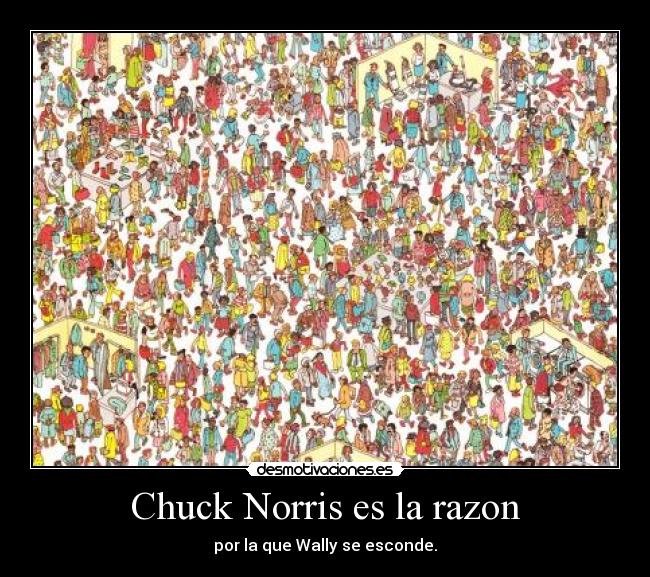 Chuck Norris es la razon - 