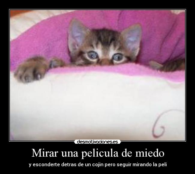Mirar una pelicula de miedo - y esconderte detras de un cojin pero seguir mirando la peli