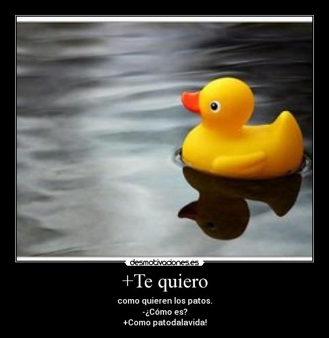 +Te quiero - como quieren los patos.
-¿Cómo es?
+Como patodalavida!